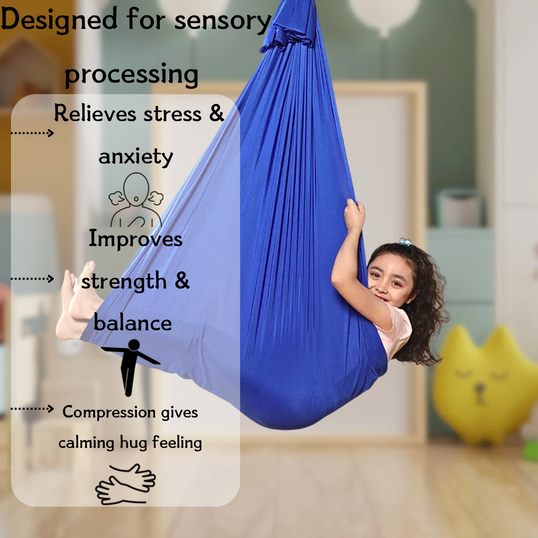 Sensory Swing